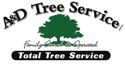 A and D Tree Service